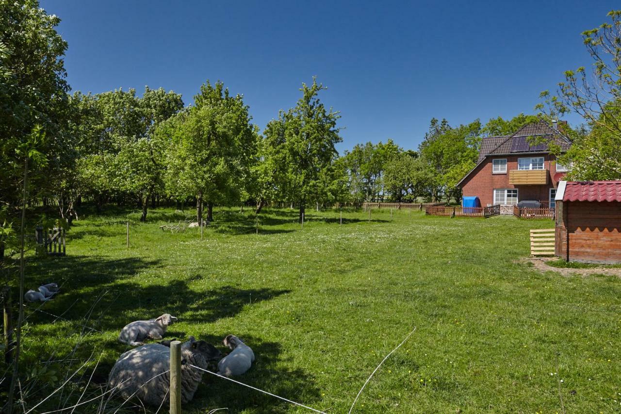 Fewo Auf Dem Lande / Nahe Spo Tumlauer Koog Bagian luar foto